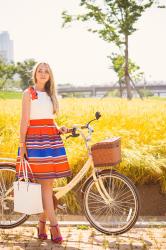 Stripe skirt: Catcher in the rye