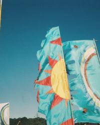 Photo diary #18 | Festival season