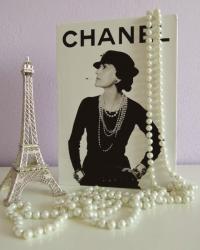 new in: chanel books