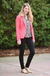 Coral and Leopard