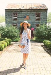 Garden & Gun Party