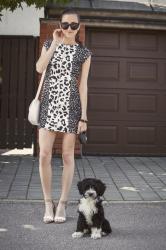 Black, white and leopard