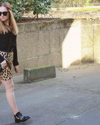 Leopard and skin