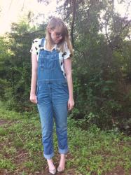 pretty little overalls