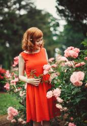 Posies Of Roses