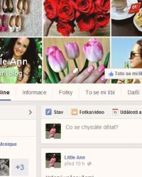 Novinka: Little Ann na facebooku