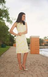 Yellow Polka Dots