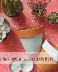 Decorating your home with cacti & succulents...