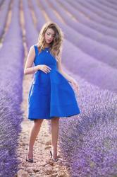 LAVENDER FIELDS – VALENSOLE PROVENCE