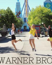 LTC. WARNER BROS. PARK EXPERIENCE