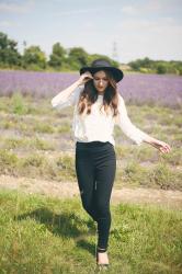 Fields of purple