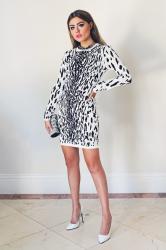 snow leopard