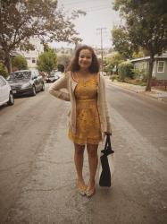 5 Days 5 Dresses