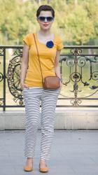 Mustard and navy stripes