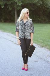 Spotlight of the Week: Leopard…