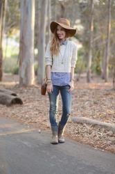 fall walks with sorel