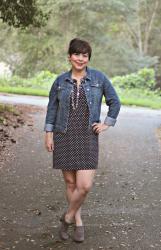 Dotted 
