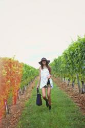 SAG HARBOUR | WINE