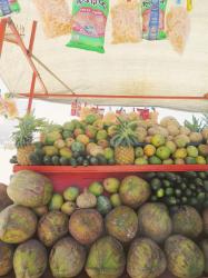 Coconuts on Rosarito Beach, Baja California, Mexico