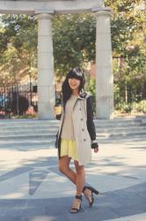 Mornings in Athens Square Park