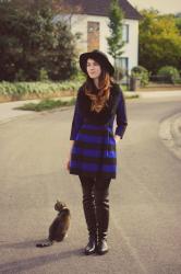 Striped dress, overknee boots and a cat