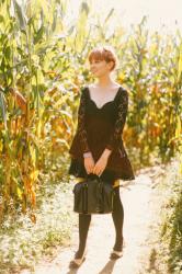 The Largest Corn Maze In Vermont