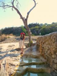 Travel Log with Cuddly Cacti