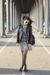 Leopard – Elodie in Paris