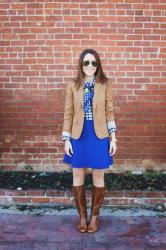 blue + tan