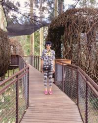 Fresh Air That is At Dusun Bambu
