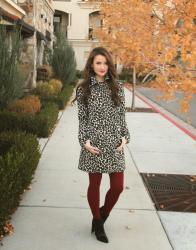 Faux Leather and Leopard featuring Lucy Paris