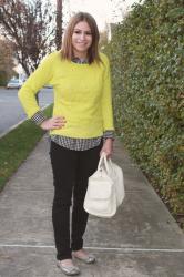 Neon Yellow + Black Gingham