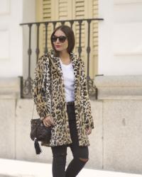 Abrigo de leopardo
