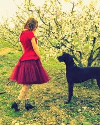 Outfits Noviembre 2014