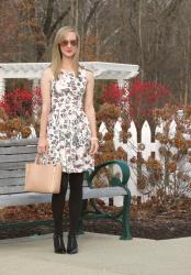 Winter Florals