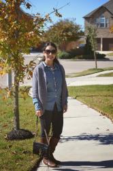 Gray leopard and Chambray