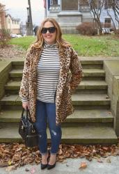 Leopard + Stripes 