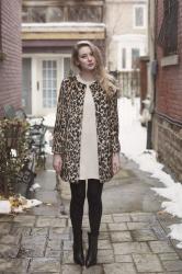 A Leopard Coat for Christmas
