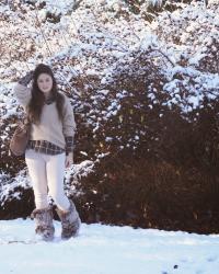 DES PATTES D'OURS CONTRE LA NEIGE