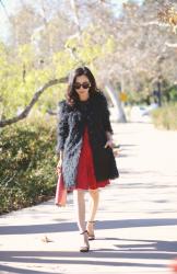 Lace Dress & Fuzzy Coat with Personal Talk