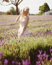 Daylesford Lavender....