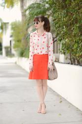 polka dots for grownups 