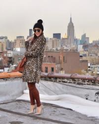 Up on the Roof
