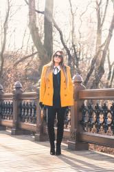 Central Park – Casaco Amarelo