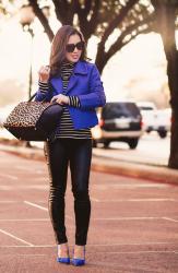 Cobalt Blue, Stripes + Leopard