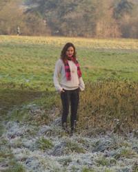 The cold days