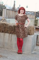 Valentine's Day Outfit: Leopard Dress, Red Tights, and Clogs