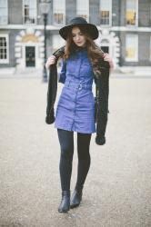 Little Denim Dress