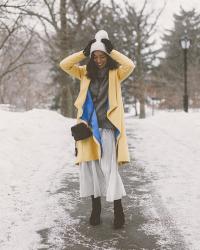 Flurries in Central Park