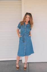 a full on denim dress guys. this is actually happening.